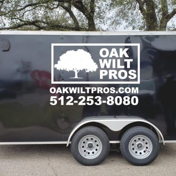 vehicle signs